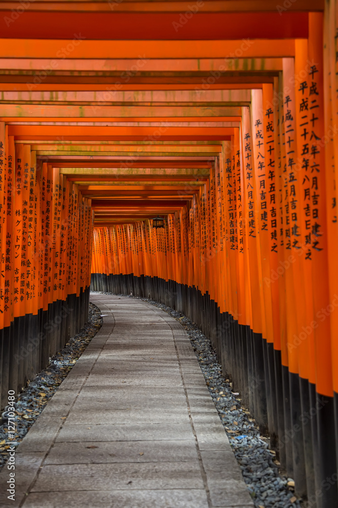 Fototapeta premium Świątynia Fushimi Inari w Kioto w Japonii