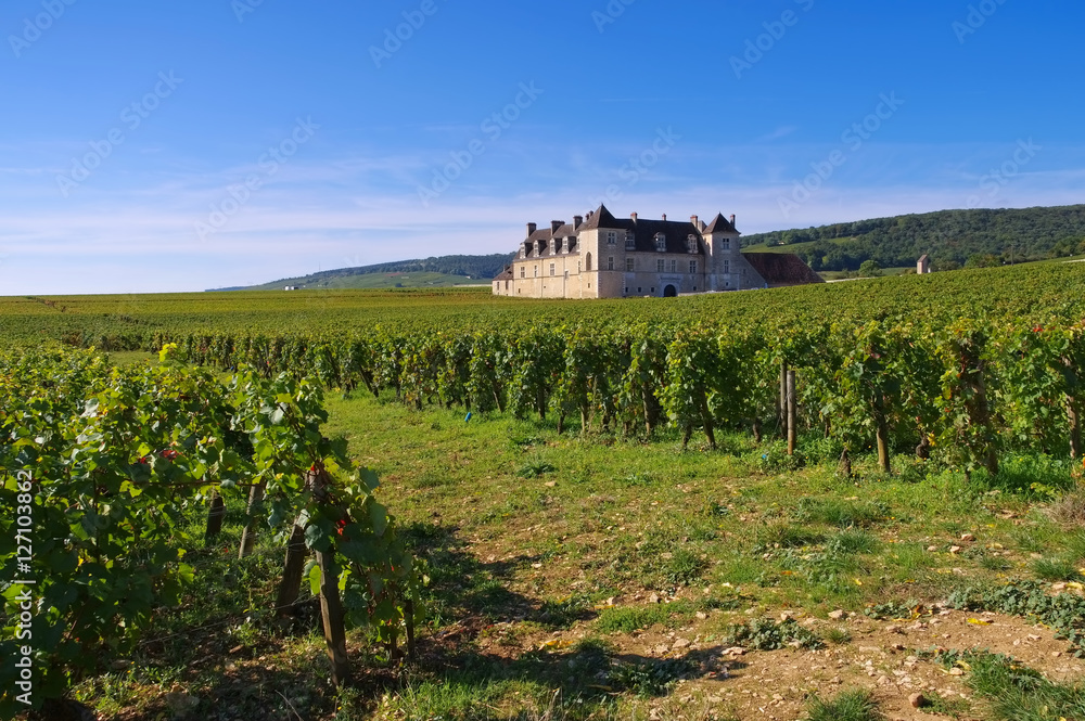 Chateau du Clos de Vougeot, Burgund - Chateau du Clos de Vougeot, Cote d'Or, Burgundy