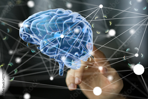 brain