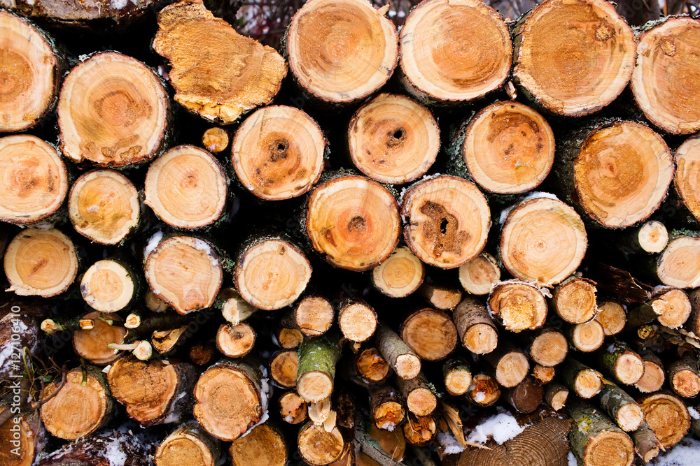 Wood texture wood fuel Wood texture wood fuel