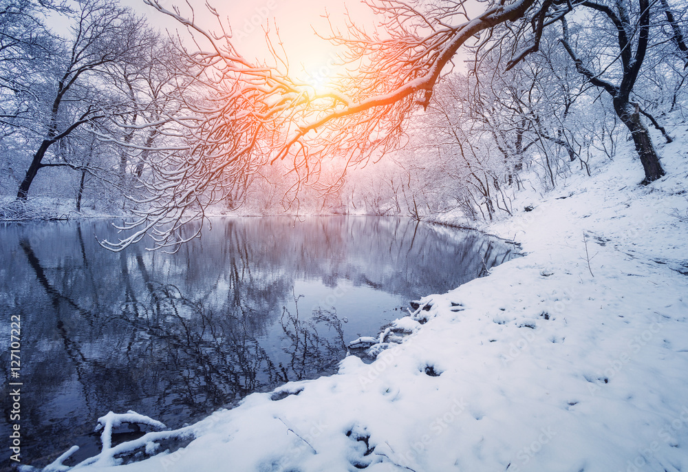 Fototapeta premium Winter forest on the river at sunset. Colorful landscape with snowy trees, frozen river with reflection in water. Seasonal. Winter trees, lake, sun and blue sky. Beautiful snowy winter in countryside