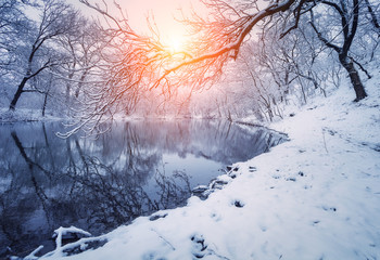 Winter forest on the river at sunset. Colorful landscape with snowy trees, frozen river with reflection in water. Seasonal. Winter trees, lake, sun and blue sky. Beautiful snowy winter in countryside