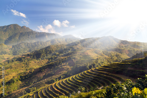 Rice fields on terraced mountain farm landscapes.