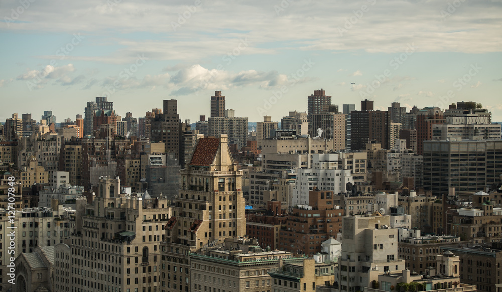 The roofs of the city of New York