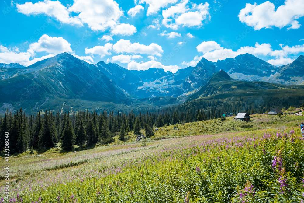 Tatra Mountains national park in Zakopane