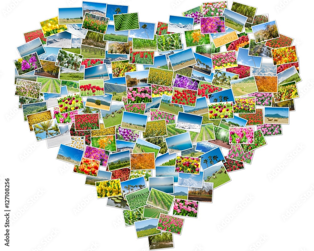 Obraz premium Various nature photos arranged in heart frame
