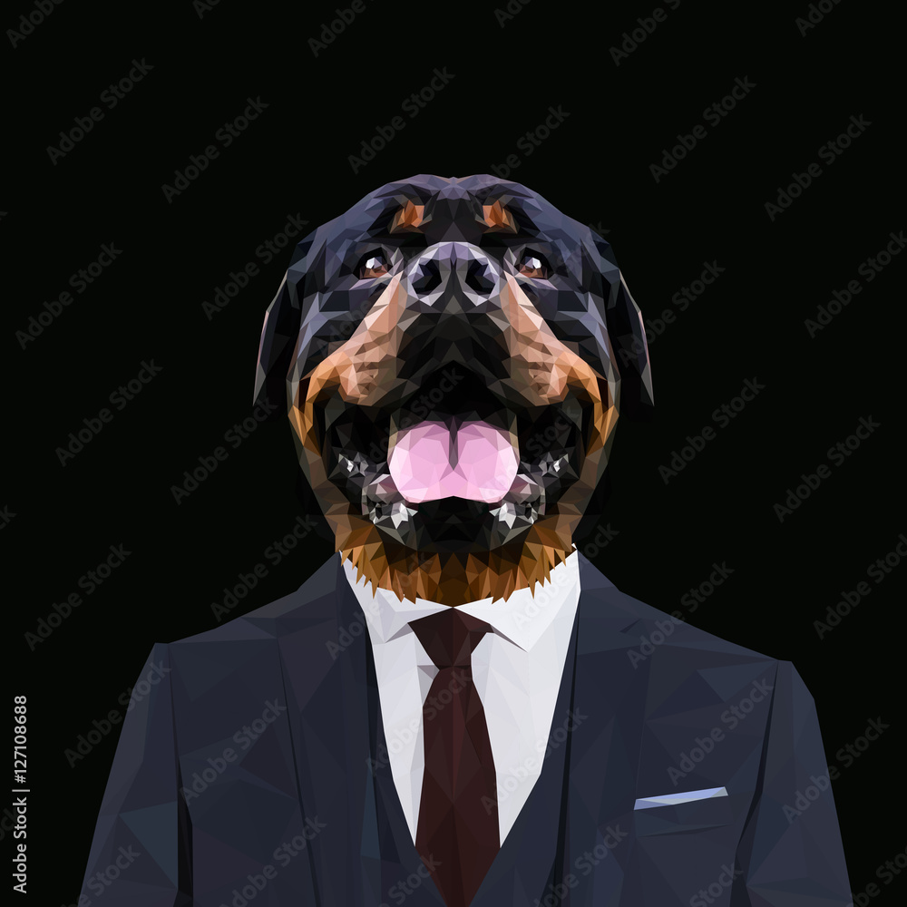 Rottweiler dressed store up