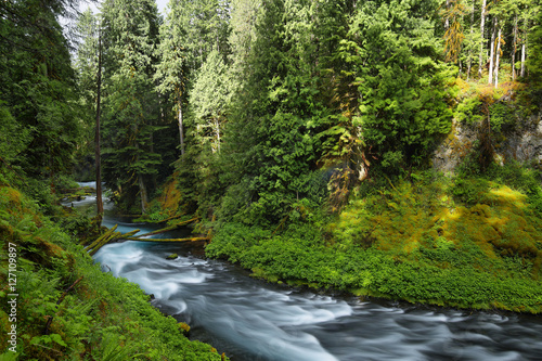 McKenzie River Oregon.