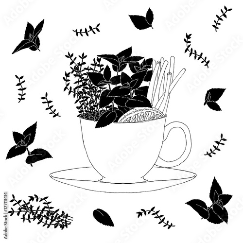 Fresh herbs in a tea cup. Vector pattern of on white background.