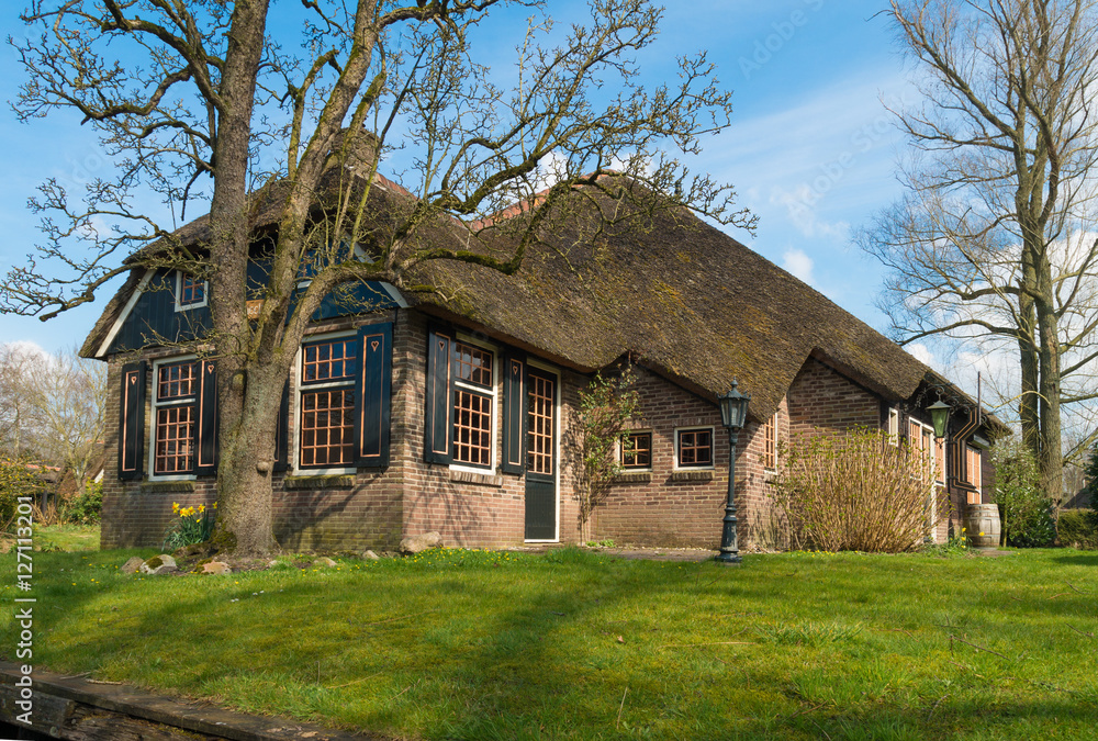 Obraz premium typical dutch house
