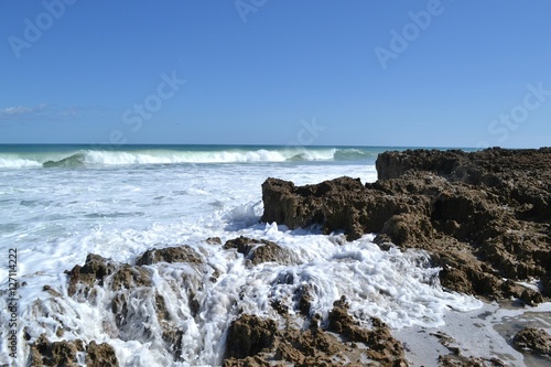 Canvas Print Paradise found at the Rock's in the Stuart, FL.