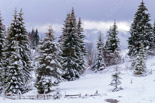 Fir trees under the snow on the hill behind the fence. Winter landscape.