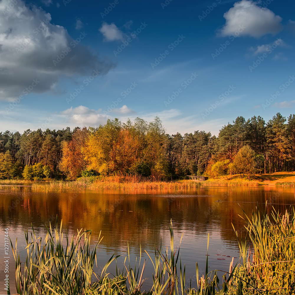 beautiful landscape. wonderful autumn sunny day. sky with majestic clouds over the lake in the forest breathtaking scenery. fantastic picturesque scene. color in nature.