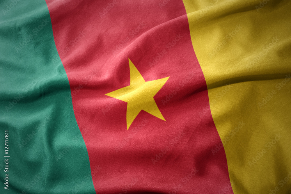 waving colorful flag of cameroon. waving colorful flag of cameroon.