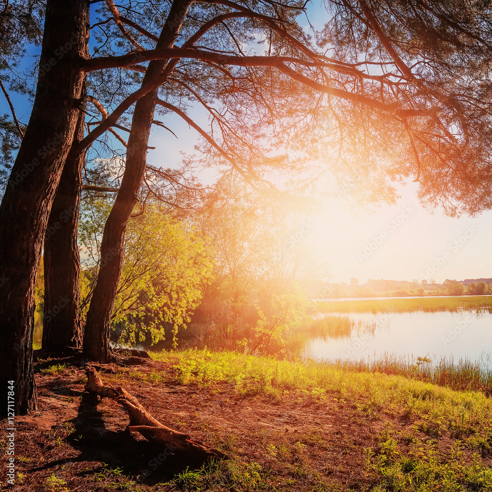 Fantastic sunset. Evening sun over the river under Shining Sunlight. majestic autumn landscape. Dramatic scenic summer scene. Beauty in the world Fantastic sunset. Evening sun over the river under Shining Sunlight. majestic autumn landscape. Dramatic scenic summer scene. Beauty in the world