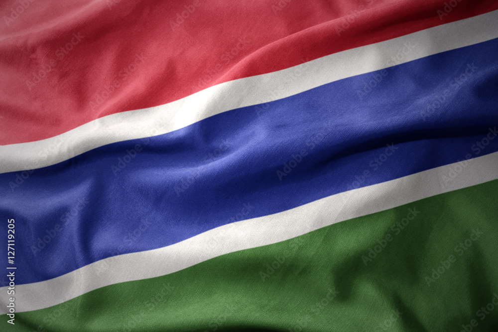 Naklejka premium waving colorful flag of gambia.