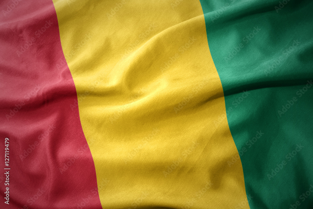 waving colorful flag of guinea.