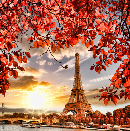 Obraz Wieża Eiffla z jesiennych liści w Paryżu, Francja