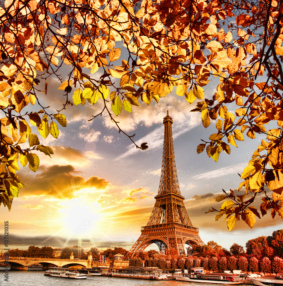 Fototapeta Wieża Eiffla z jesiennych liści w Paryżu, Francja