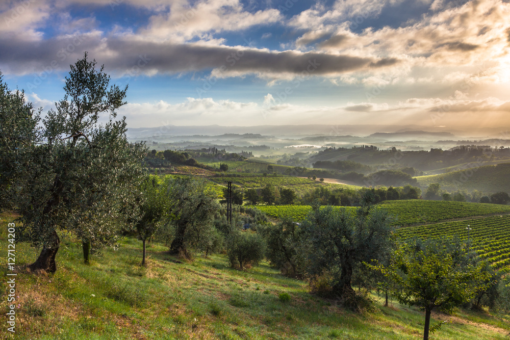 Early Morning Landscape in Tuscany