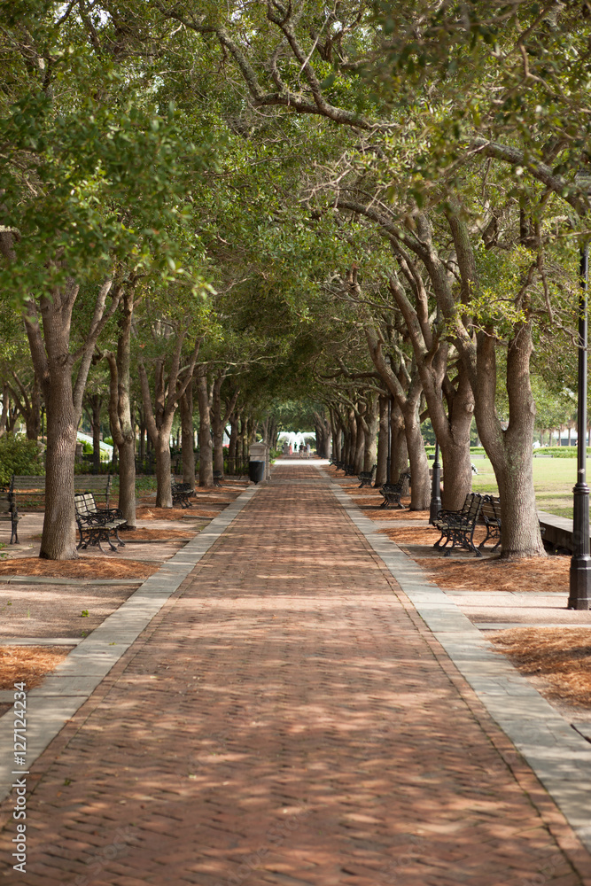 Quiet tree lined path at Waterfront Park in Charleston, South Carolina