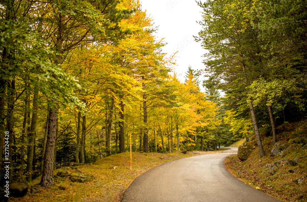 Travel by car on the roads of the Pyrenees in Spain in the autumn.