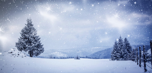 snowy winter landscape