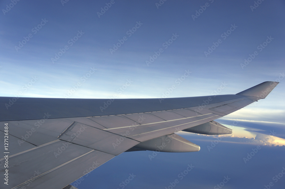 Fototapeta premium wing with cloud.