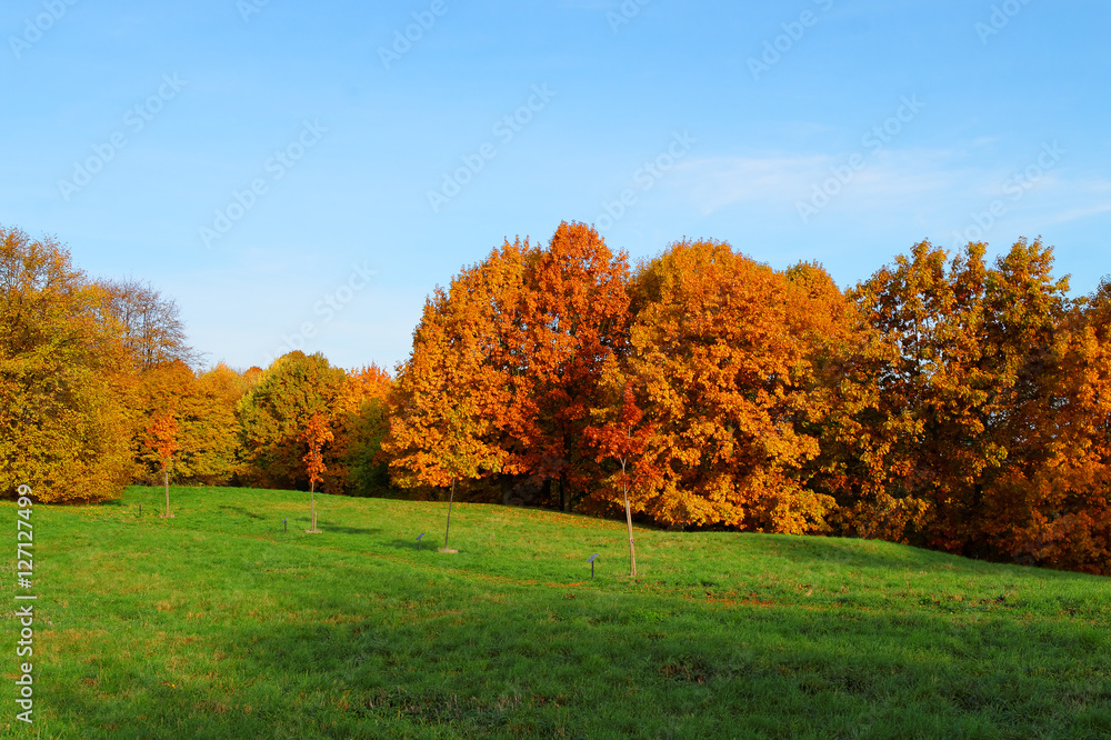 autumnal landscape