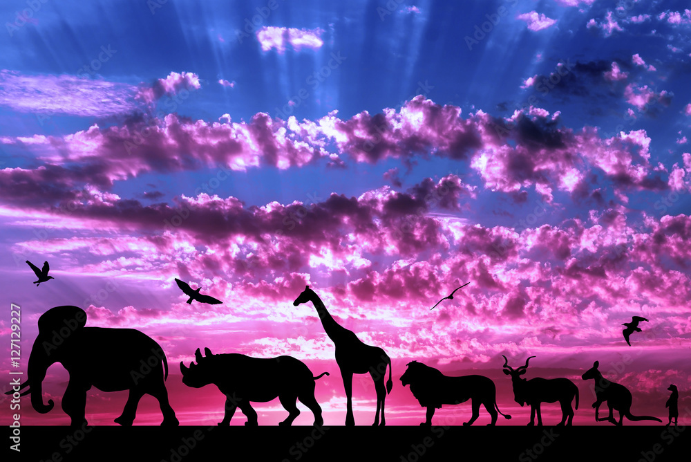 Silhouettes of animals on purple cloudy sunset background Silhouettes of animals on purple cloudy sunset background
