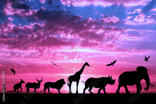 Silhouettes of animals on purple cloudy sunset background