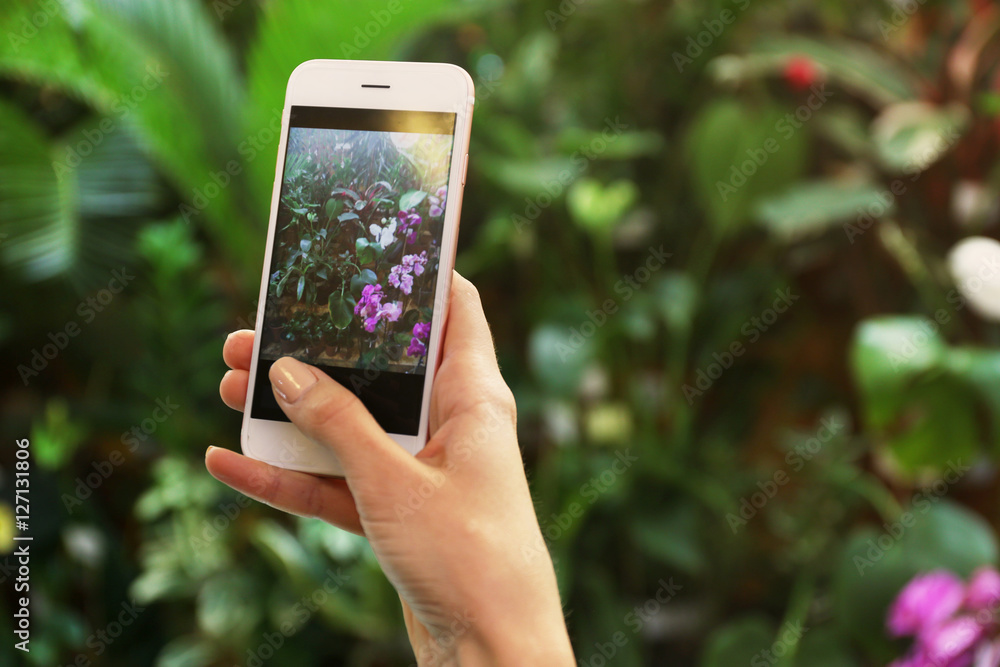 Female hand taking photo of beautiful flowers with smart phone at floral shop Female hand taking photo of beautiful flowers with smart phone at floral shop