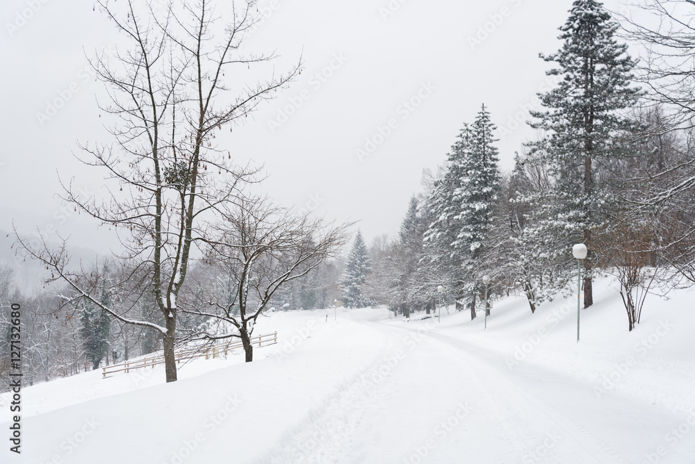 Winter Snowing in Plitvice Lakes National Park Winter Snowing in Plitvice Lakes National Park
