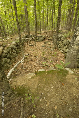 Canvas Print Stone foundation ruins in Sunapee, New Hampshire.