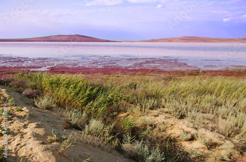 Beautiful picturesque landscape. Sunny day at pink salty lake