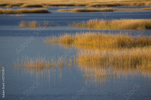 Warm glow of sunset on marsh at Milford Point  Connecticut.