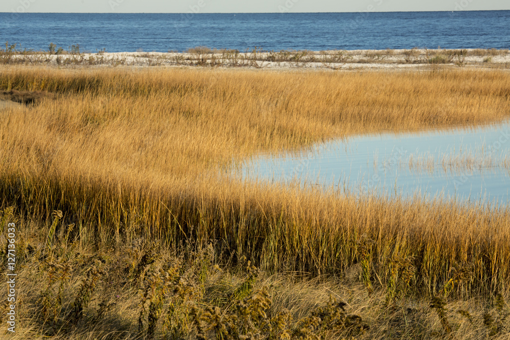 Marsh grasses at sunset in fall at Milford Point, Connecticut. Marsh grasses at sunset in fall at Milford Point, Connecticut.