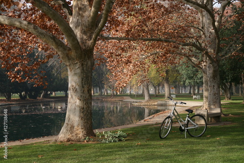 Park