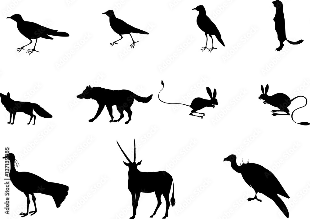 Set of black silhouettes of central asian animals and birds, vector illustration.