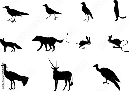 Set of black silhouettes of central asian animals and birds, vector illustration.