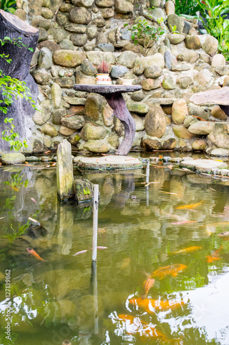 Obraz na płótnie Asian decorative pond with carps w salonie