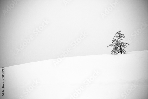 Fotografie Winter is coming