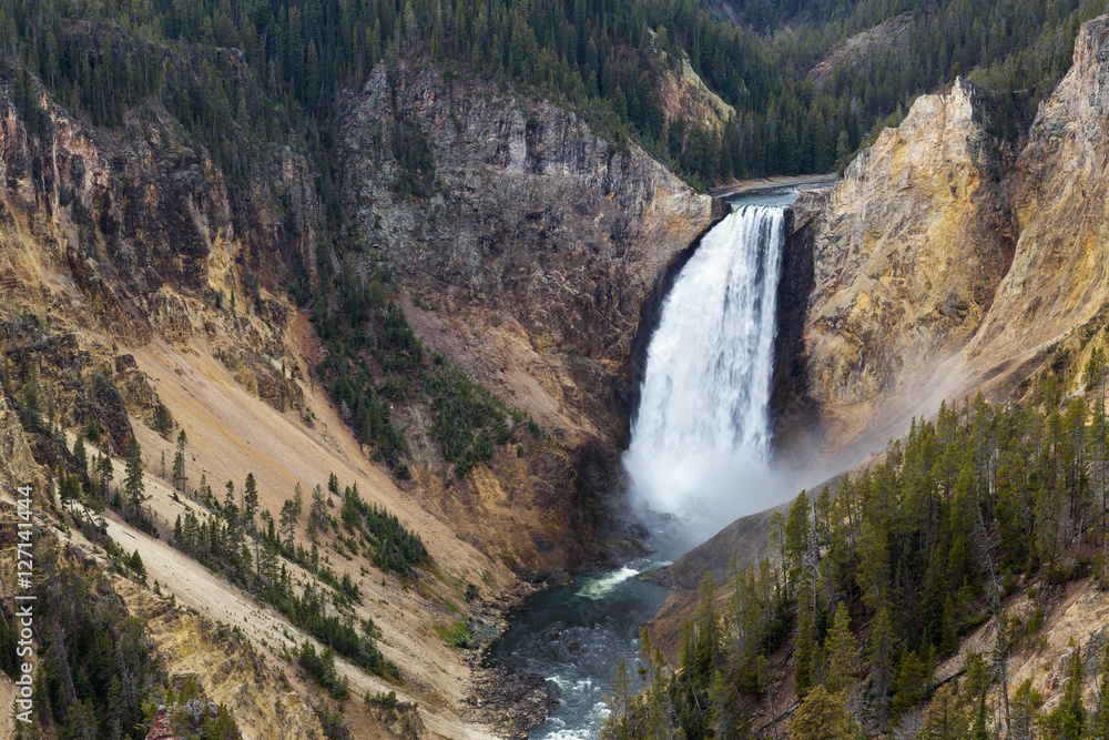 Lower Falls of Yellowstone