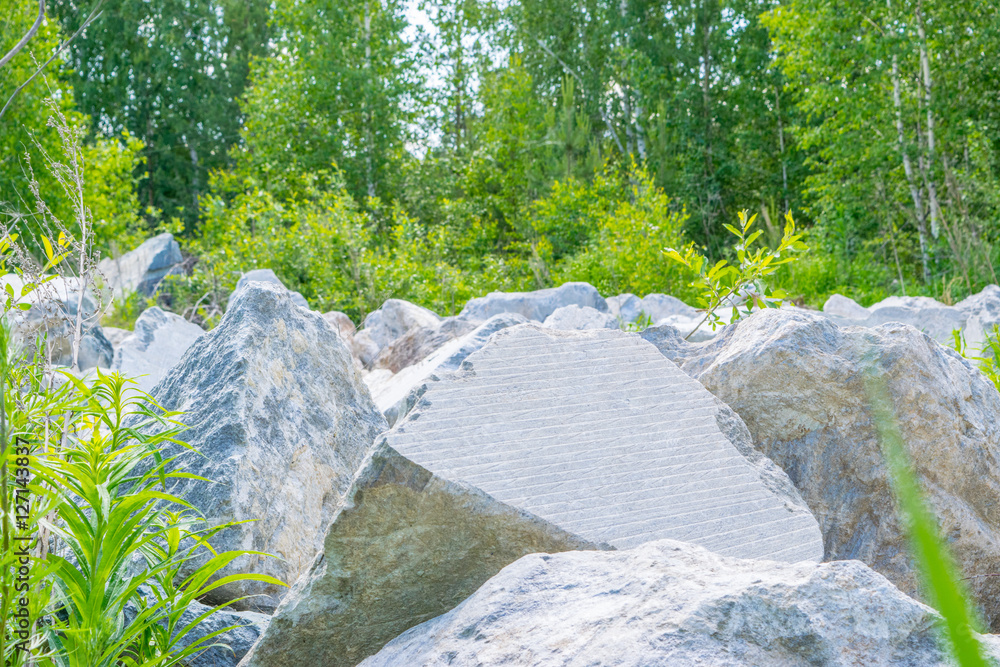 Mining spoil - stones in a forest