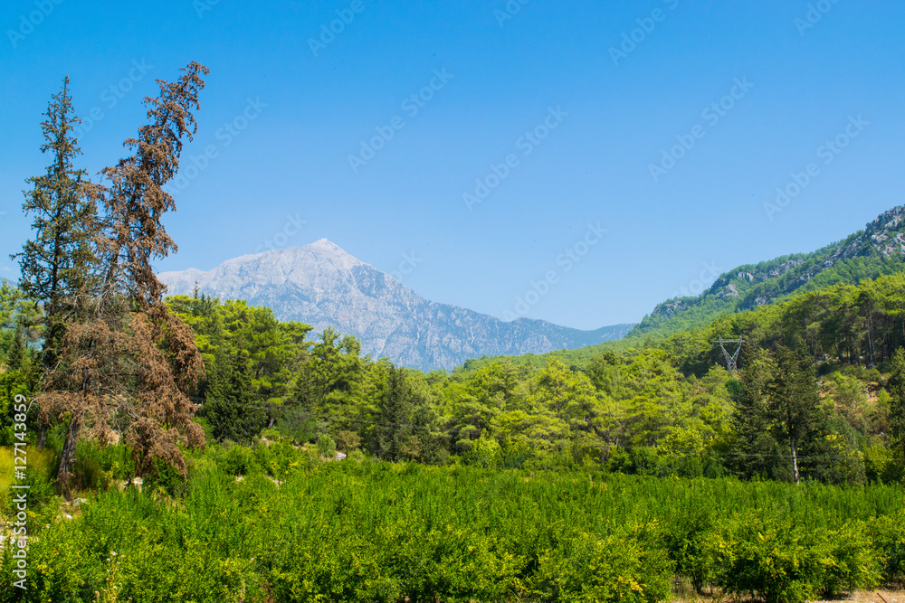 Scenic mountain summer landscape with vivid grass and blue sky Turkey, Taur