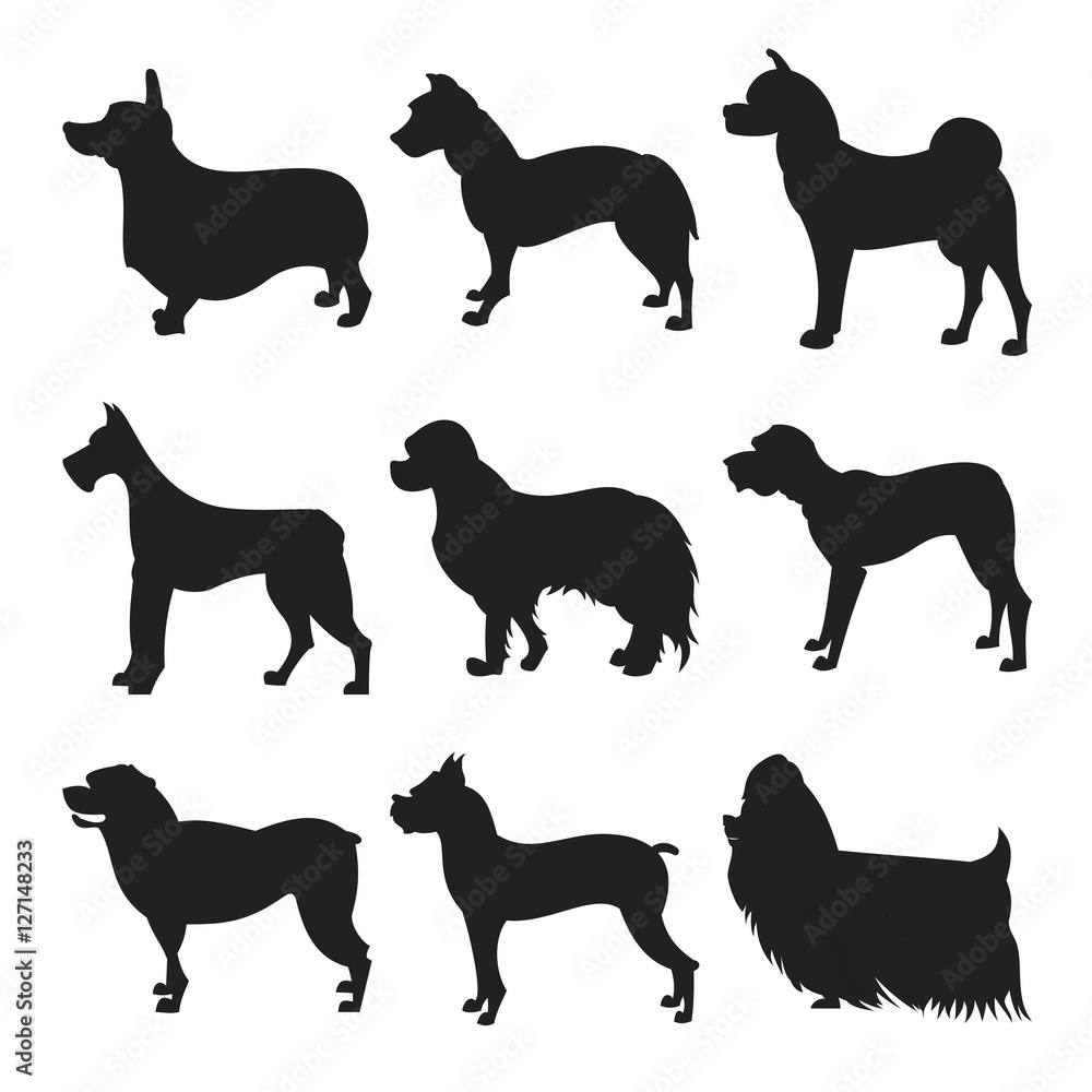 Set of dogs silhouette