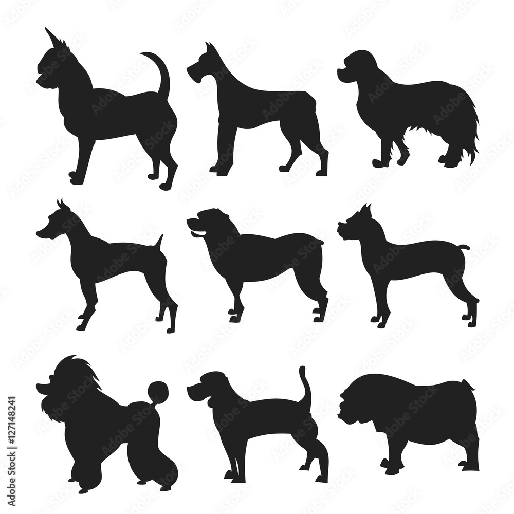 Collection of dogs silhouette