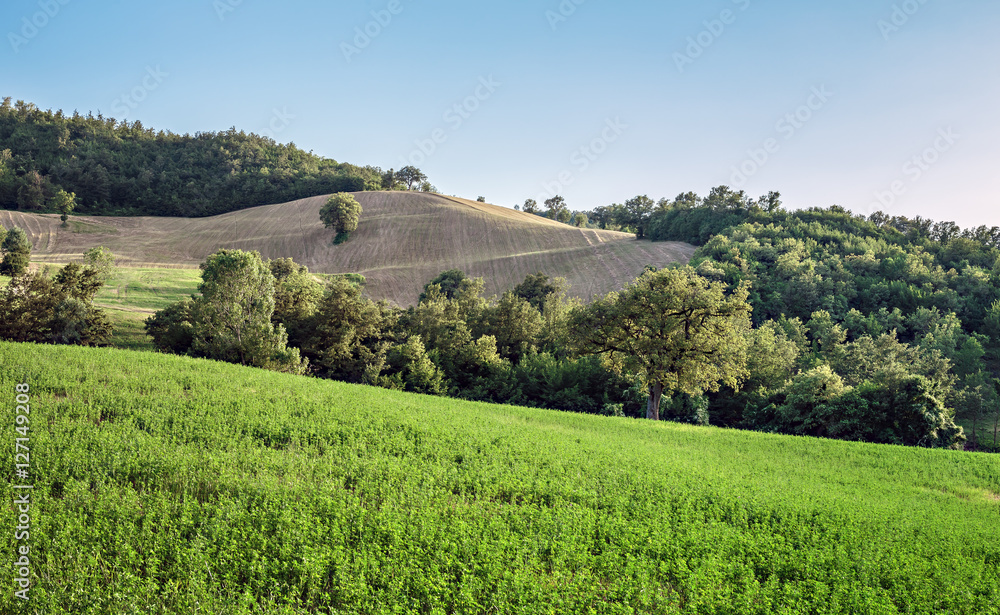 Rural landscape in Tuscany Italian