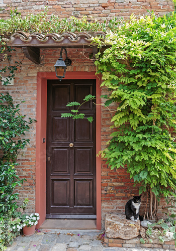 Entrance to the old Italian house and a cat