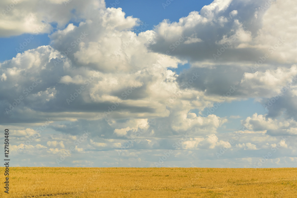 Beautiful sky with clouds over yellow field Beautiful sky with clouds over yellow field